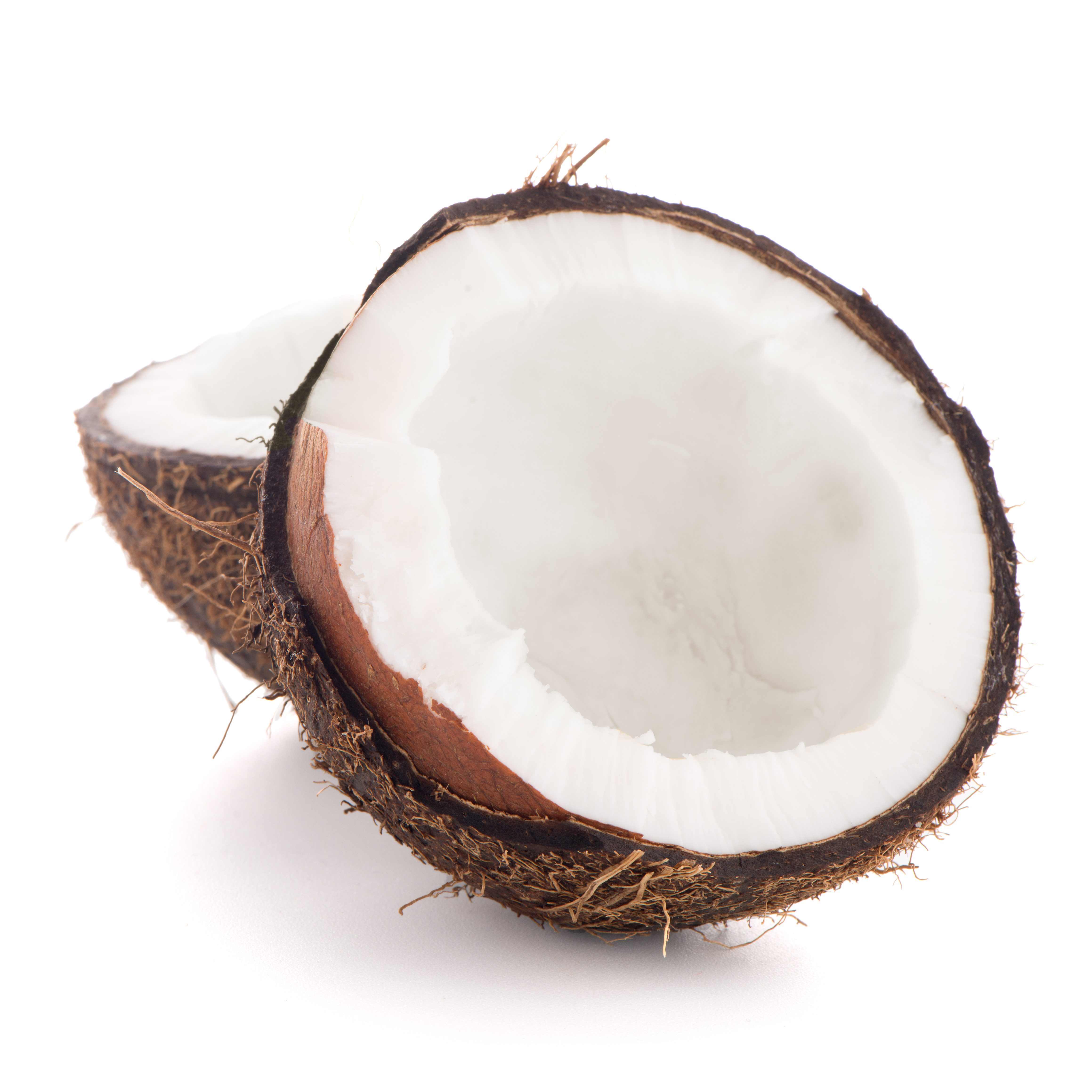 Coconut Oil