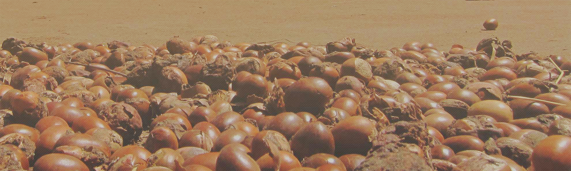 AdobeStock 365196 WM