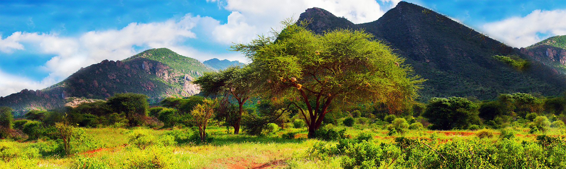 AdobeStock 50025160 WM